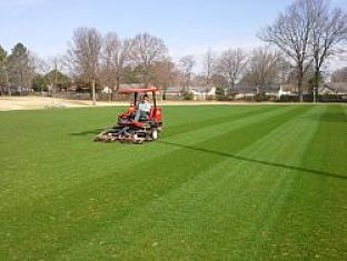 Caleb Burrows opt opt