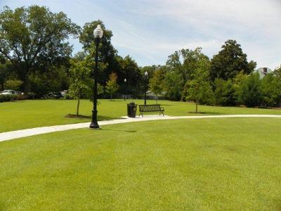 TB_green_grass_3_resized