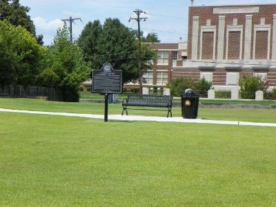 TB_green_grass_4_resized