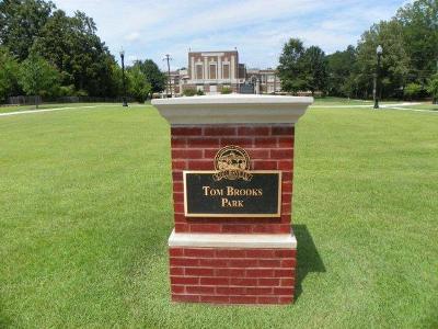 tom_brooks_green_grass_resized